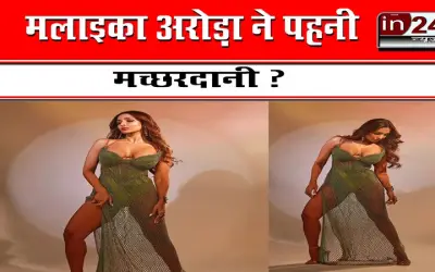 मलाइका अरोड़ा ने पहनी मच्छरदानी ?