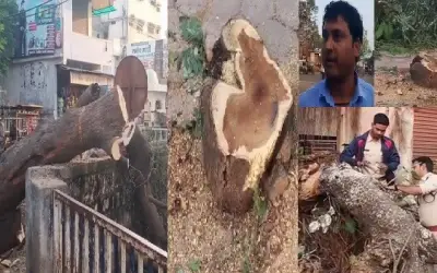 विकास के नाम पर पर्यावरण का विनाश !