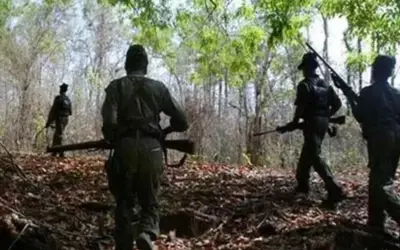 सुरक्षाबलों ने छत्तीसगढ़-तेलंगाना सीमा पर तीन नक्सलियों को मार गिराया