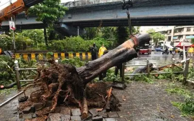 महाराष्ट्र में 16 जून से निसर्ग प्रभावित क्षेत्र का केंद्रीय टीम करेगी दौरा