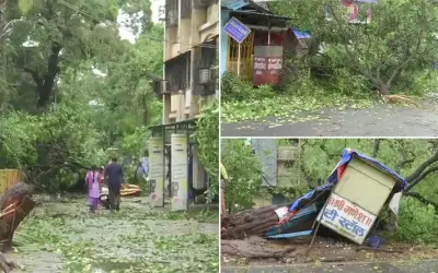 निसर्ग तूफान ने महाराष्ट्र में ली चार की जान