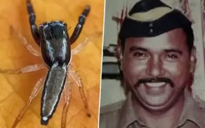 शहीद ओंबले को मकड़ी की नई प्रजाति आइसियस तुकारामी से दिया गया सम्मान