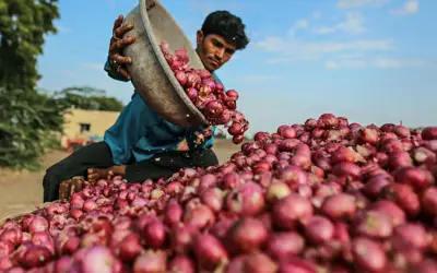 सस्ते विदेशी प्याज में स्वाद नहीं होने की शिकायत