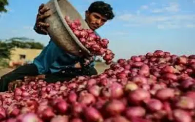 उल्हासनगर में प्याज खरीदने वालों के लिए ऑफर