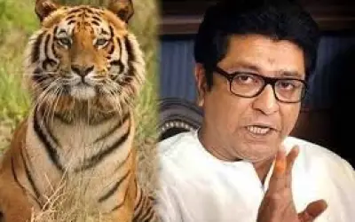 अवनि की मौत पर राज ठाकरे का हमला