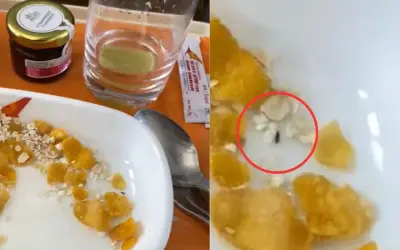 एयर इंडिया के खाने में मिला यात्री को कीड़ा