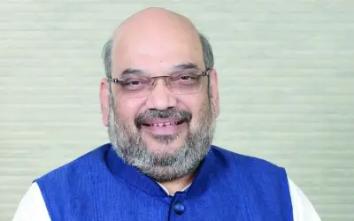 भाजपा अध्यक्ष के पद पर बने रहेंगे अमित शाह