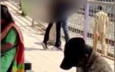 रेलवे स्टेशन पर प्रेमी जोड़े की अश्लील हरकत, वीडियो हुआ वायरल