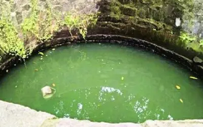 जान देने वाली मां का पीछा करनेवाले दो मासूमों की मौत