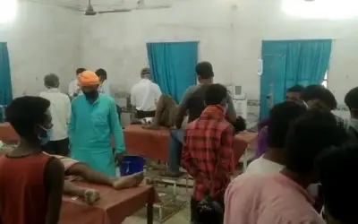 जंगली सुअर ने किया दर्जन भर लोगों को घायल