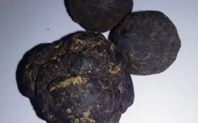 मुंबई में ड्रग्स माफियाओं के सबसे बुरे दिन