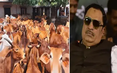 कांग्रेस नेता ने की गोमांस न खाने की अपील