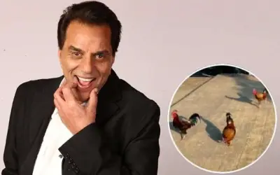 धर्मेंद्र वेलेंटाइन डे के दिन देंगे नए रेस्टूरेंट का तोहफ़ा