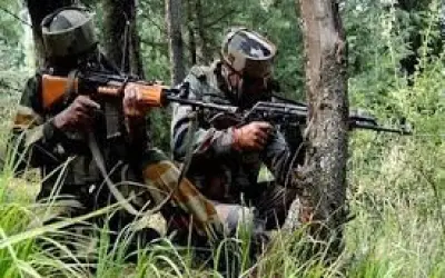 कश्मीर में जैश और हिजबुल के आठ आतंकवादी ढेर