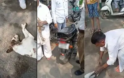 कुत्ते को ढाई किलोमीटर तक बाइक से घसीटने वाला शख्स गिरफ्तार