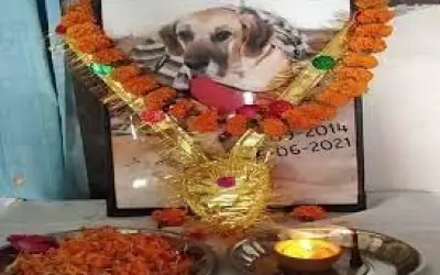 इंसानो की तरह कुत्ते का भी हुआ अंतिम संस्कार, तेरहवीं और ब्रह्मभोज का आयोजन