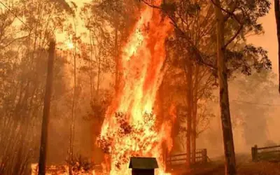 गर्मी ने लगाई देश के 23 राज्यों के जंगलों में आग