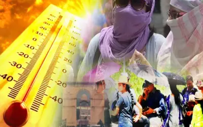 भयंकर गर्मी ने ली 50 लोगों की जान