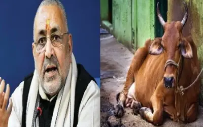 गाय पैदा करने की फ़ैक्ट्री लगाएंगे गिरिराज सिंह