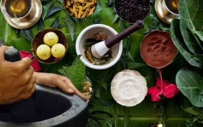 कोरोना वायरस का इलाज आयुर्वेद में