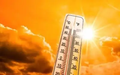 झुलसने लगी धरती, बढ़ने लगा तापमान