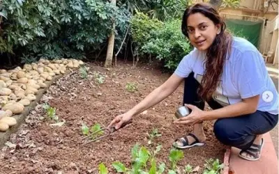 लॉकडाउन में भूमिहीन किसानों से खेती करवाएंगी जूही चावला