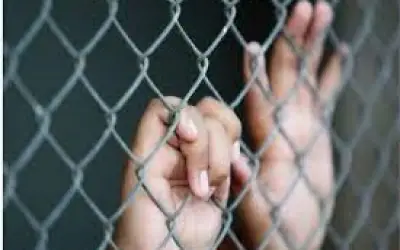 मासूम बेटे को कुत्ते के साथ घर में बंद करनेवाले माता-पिता के खिलाफ मामला दर्ज