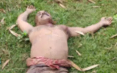 चोर को पकड़कर भीड़ ने हत्या कर दी