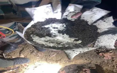 जम्मू-कश्मीर में पुलवामा पुलिस और सीआरपीएफ ने किया विस्फोटक बरामद