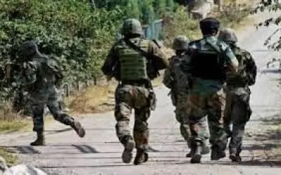 लश्कर-ए-तैयबा का आतंकवादी पुलवामा मुठभेड़ में ढेर