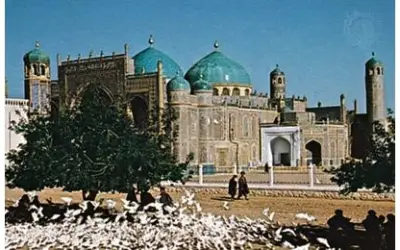 लॉकडाउन में एक हज़ार भूखे कबूतरों ने अफगानिस्तान में तोड़ा दम
