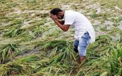 ज्यादा बारिश से परेशान किसान भगवान इंद्र के खिलाफ रिपोर्ट दर्ज कराने पहुंचा थाने