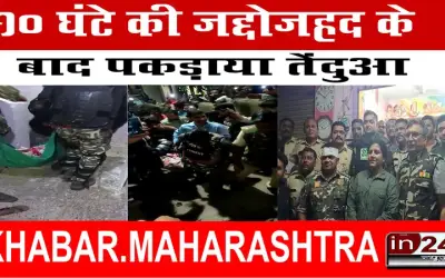 10 घंटे की जद्दोजहद के बाद पकड़ाया तेंदुआ