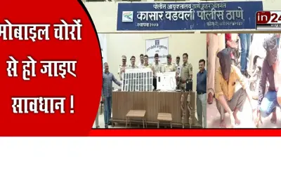 Police caught two vicious mobile thieves