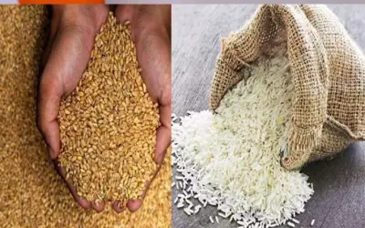 मधेपुरा में मुर्दे भी लेते हैं राशन