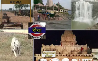 विंध्य की राजनीति की केंद्र रही है रीवा लोकसभा सीट