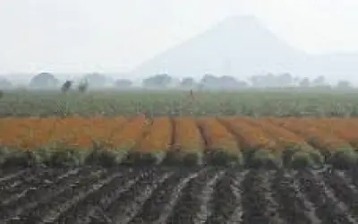 सूखे से परेशान विदर्भ के किसान