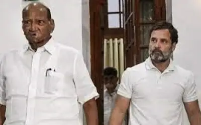 एक दिन देश का नेतृत्व करेंगे राहुल गांधी : शरद पवार