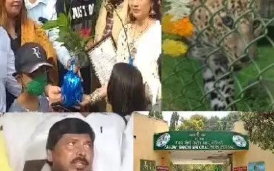 सिंबा पर आया आठवले का दिल !