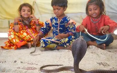 नागपंचमी : सोलापुर जिले के एक गांव में सांपों से खेलते हैं बच्चे