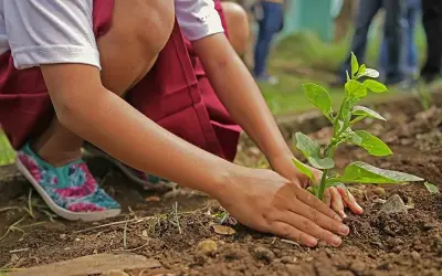 पीरियड्स के चलते स्कूल में पेड़ लगाने से लड़की को रोकने पर हड़कंप