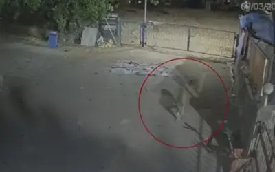मुंबई के मरोल की सड़कों पर घूमता दिखा खूंखार तेंदुआ, सीसीटीवी में हुआ कैद