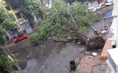 अम्फान तूफान ने ली 12 लोगों की जान