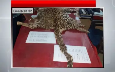 तेंदुए की खाल की तस्करी का किया पर्दाफाश in24news