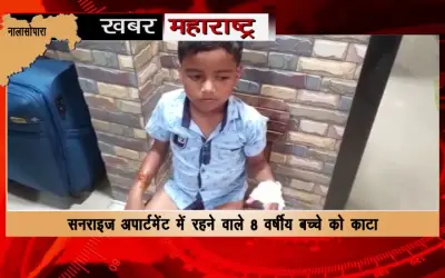 Stray dogs openly snatched 8-year-old child in Nalasopara
