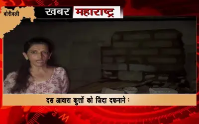 Attempt to bury ten stray dogs alive in Borivali