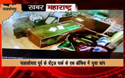 A snake entered an office in Nalasopara East's Central Park, CCTV blew people's senses