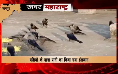 Journalist's unique effort to save the lives of birds in Nagpur