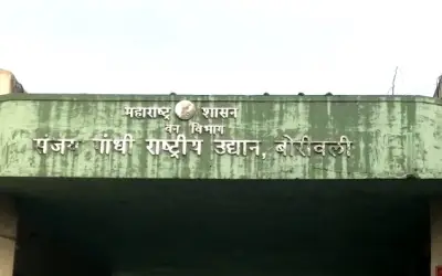 संजय गांधी नेशनल पार्क में फिर से सुनाई देगी शेरों की गर्जना