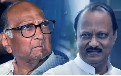 अजित पवार की बगावत से शिवसेना जैसा होगा एनसीपी का हाल !